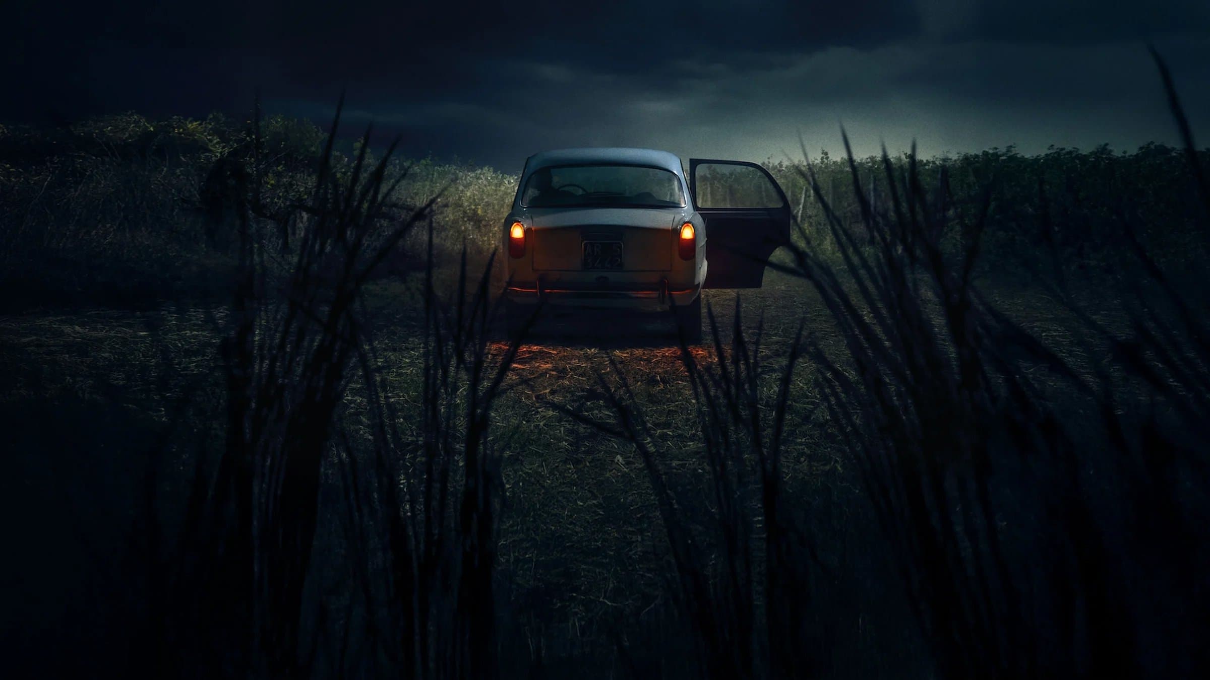 undefined poster image